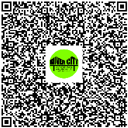 The Unsung Hero of Your Roof: The Chimney Cap