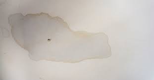 The Hidden Dangers of a Small Roof Leak